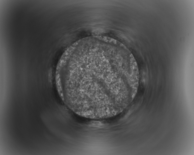 X0000088420519200706191218