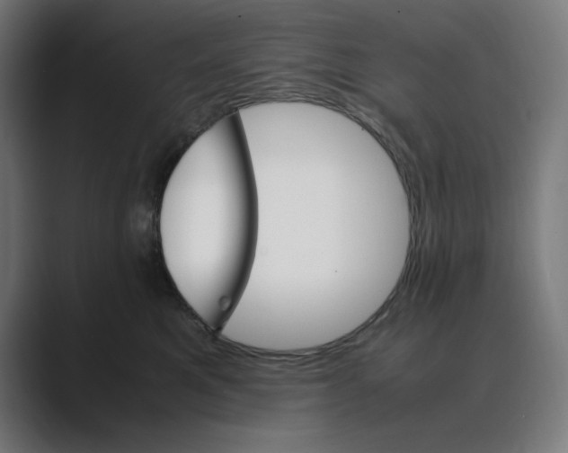 X0000088420521200706191218