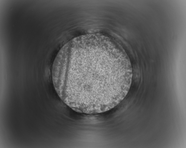 X0000088420523200706191218