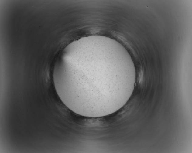 X0000088420524200706191218