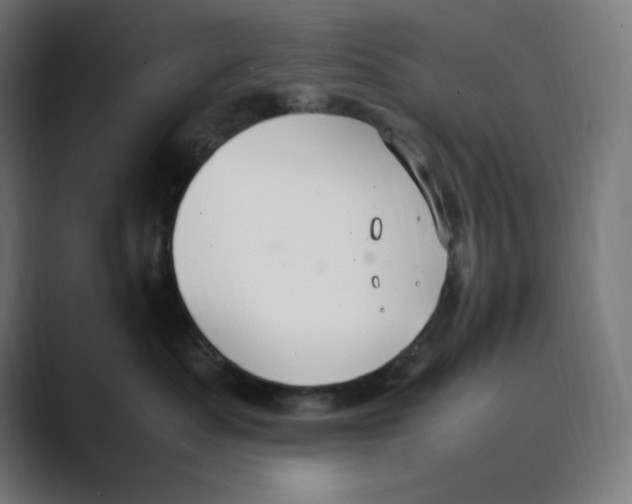 X0000088420525200706191218