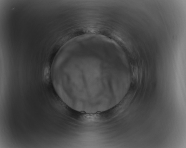 X0000088420526200706191218