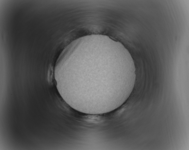 X0000088420528200706191218
