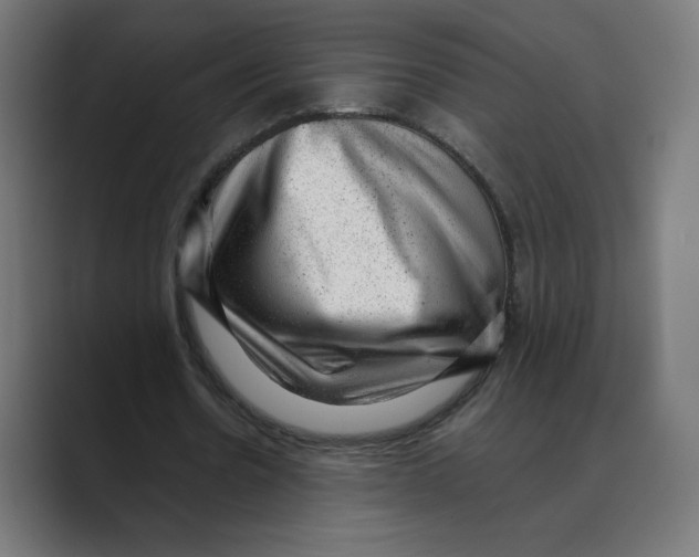 X0000088420530200706191217
