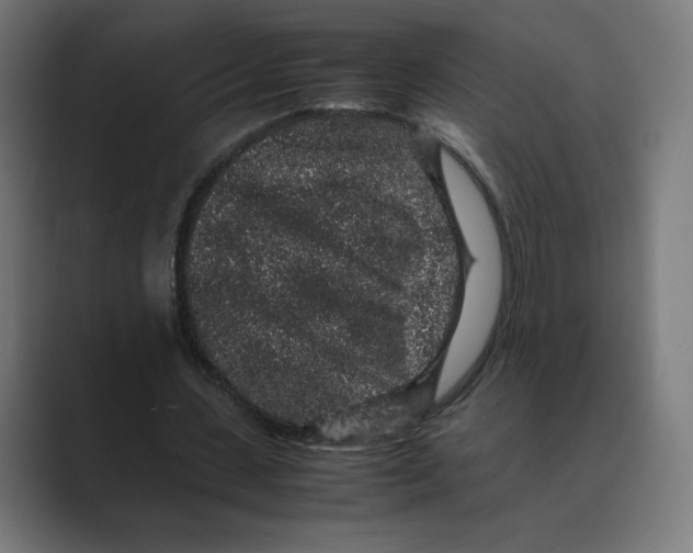 X0000088420531200706191217