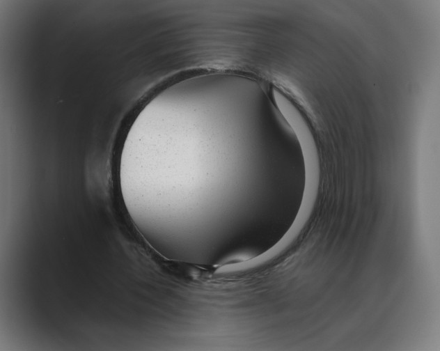 X0000088420532200706191217