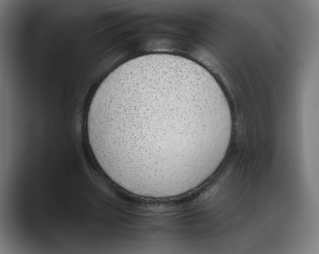 X0000088420533200706191217