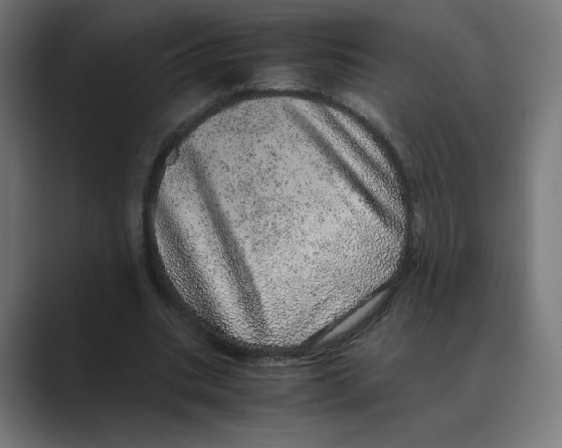 X0000088420535200706191217