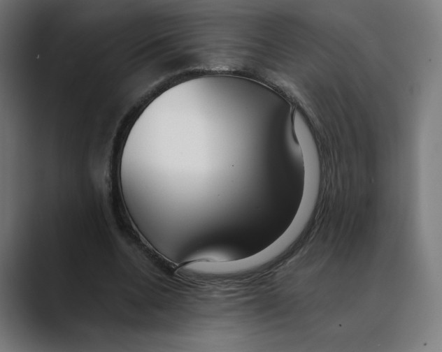 X0000088420536200706191217