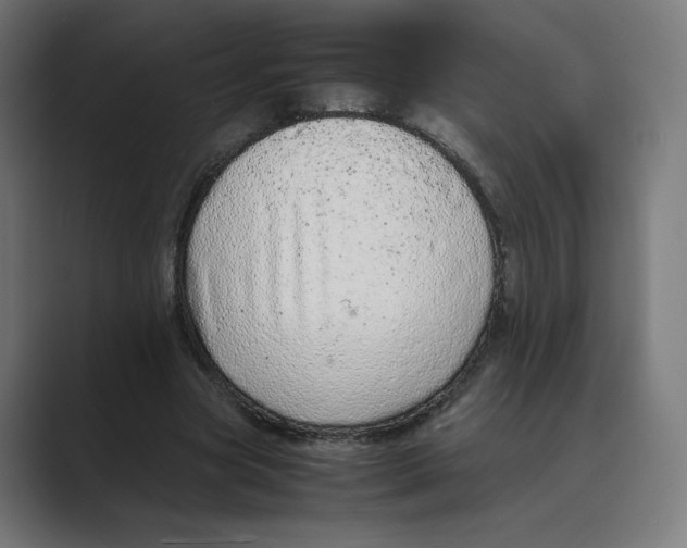 X0000088420537200706191217