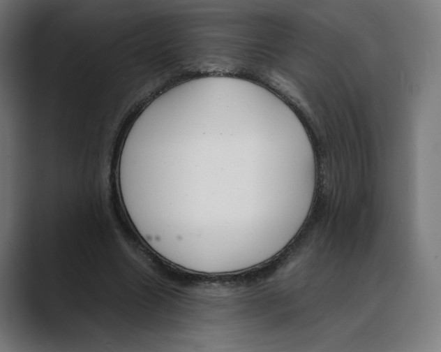 X0000088420538200706191217