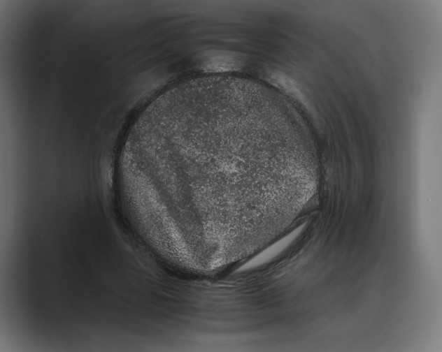 X0000088420539200706191218