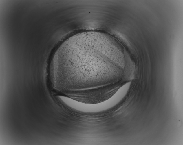 X0000088420540200706191218