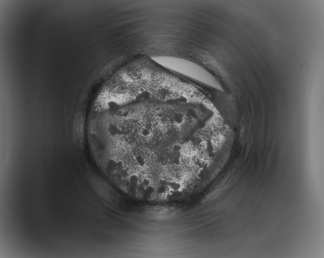 X0000088420542200706191218