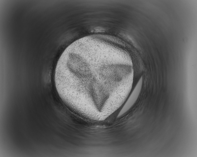 X0000088420543200706191218