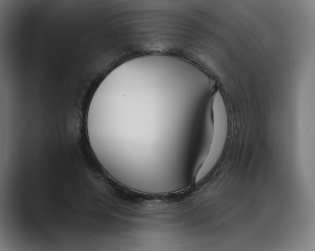 X0000088420544200706191218