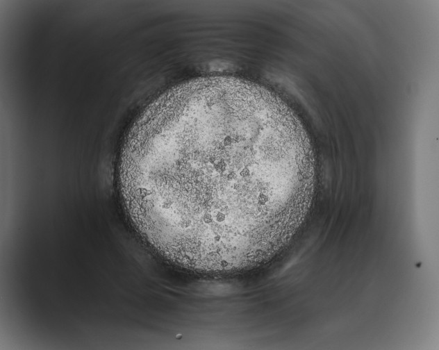 X0000088420545200706191218