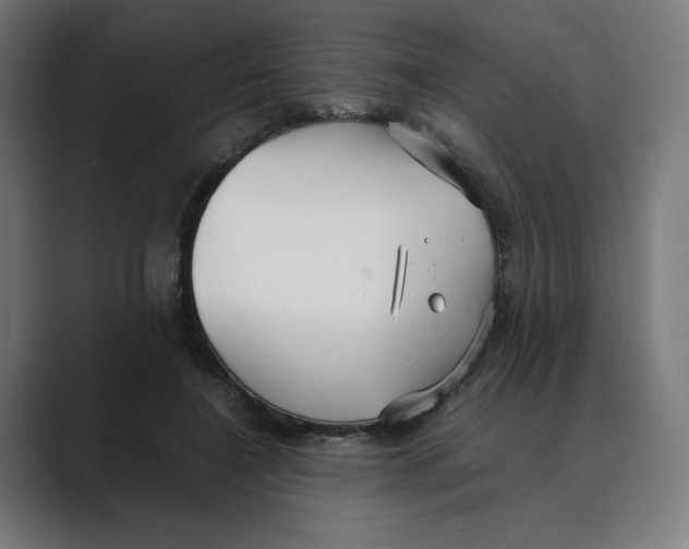 X0000088420548200706191218