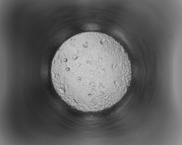 X0000088420549200706191218