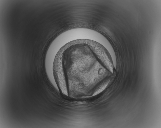 X0000088420552200706191218