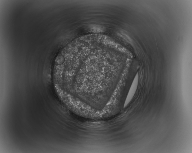 X0000088420553200706191218