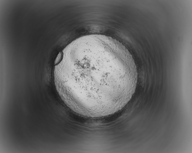 X0000088420554200706191218