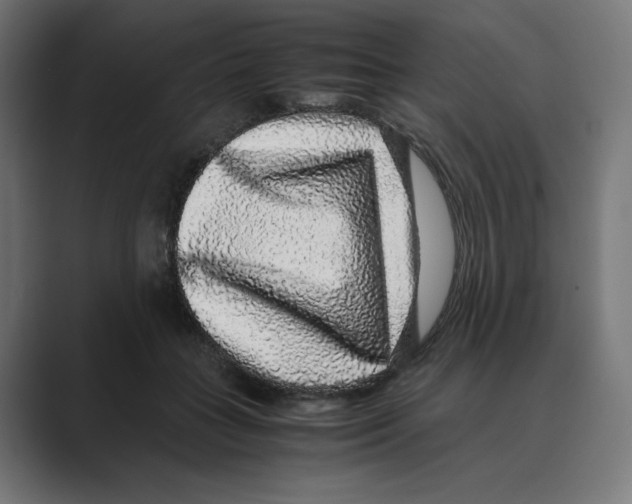 X0000088420555200706191218