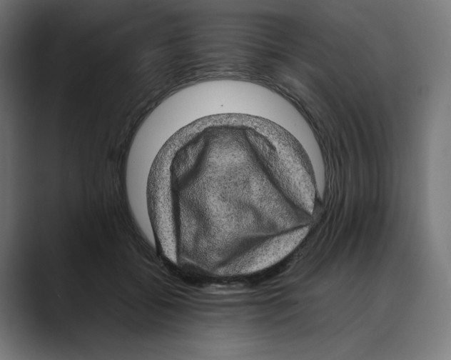 X0000088420556200706191218