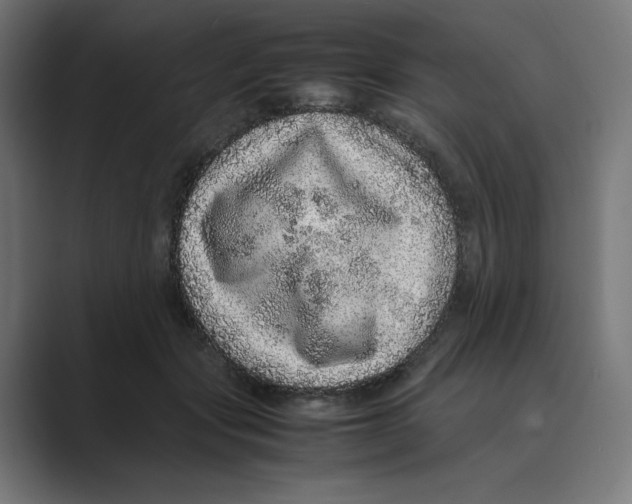 X0000088420557200706191218