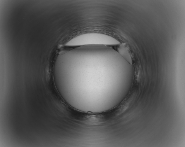 X0000088420558200706191218