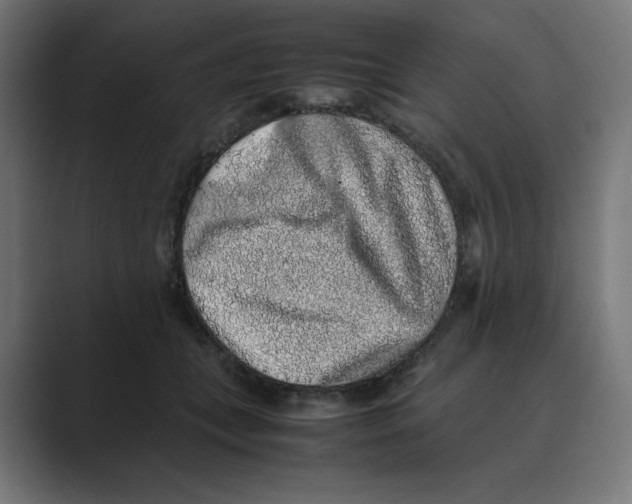 X0000088420559200706191218