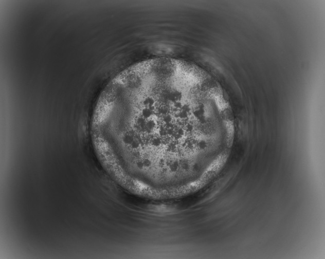 X0000088420561200706191218