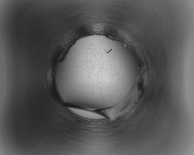X0000088420562200706191218
