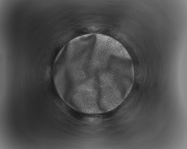 X0000088420563200706191218