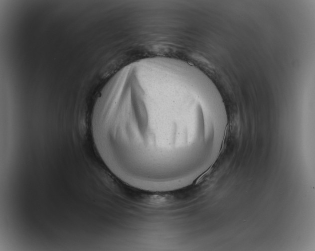 X0000088420566200706191218