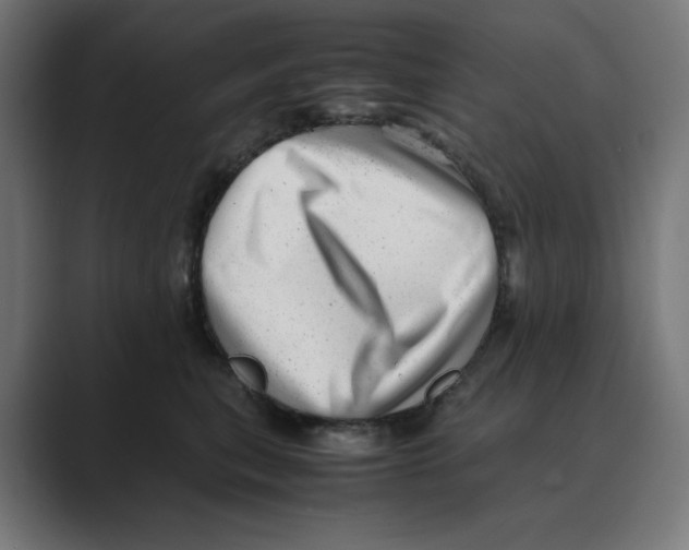 X0000088420567200706191218