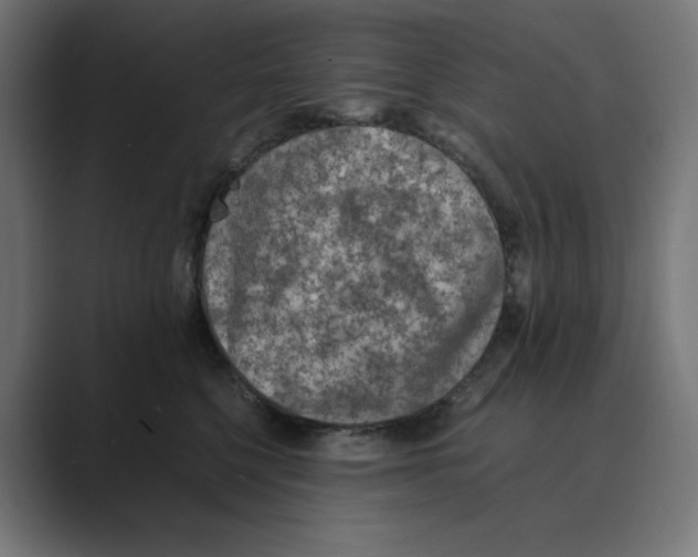 X0000088420568200706191218