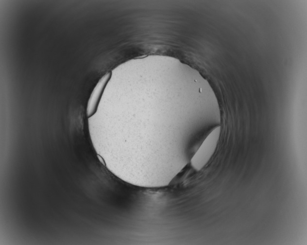 X0000088420570200706191218