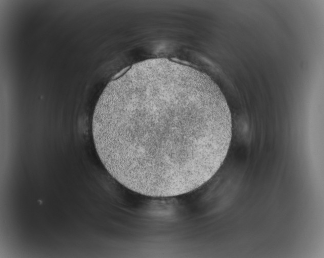 X0000088420571200706191218