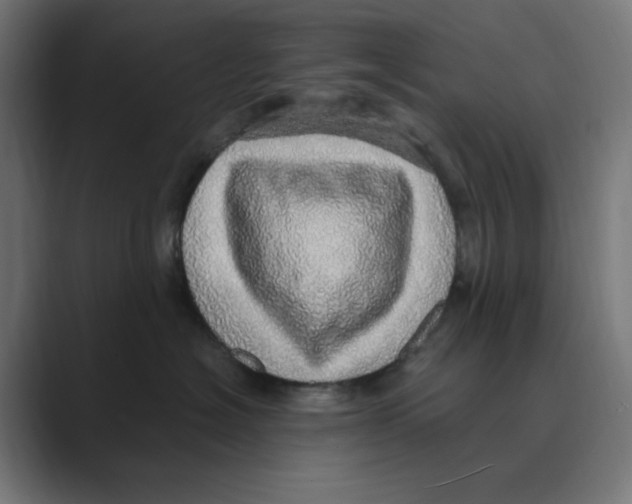 X0000088420574200706191218