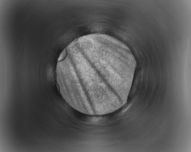 X0000088420575200706191218