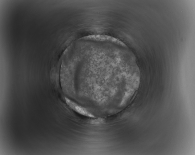 X0000088420576200706191218