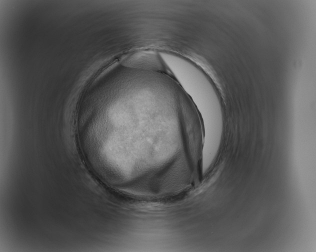 X0000088420577200706191217