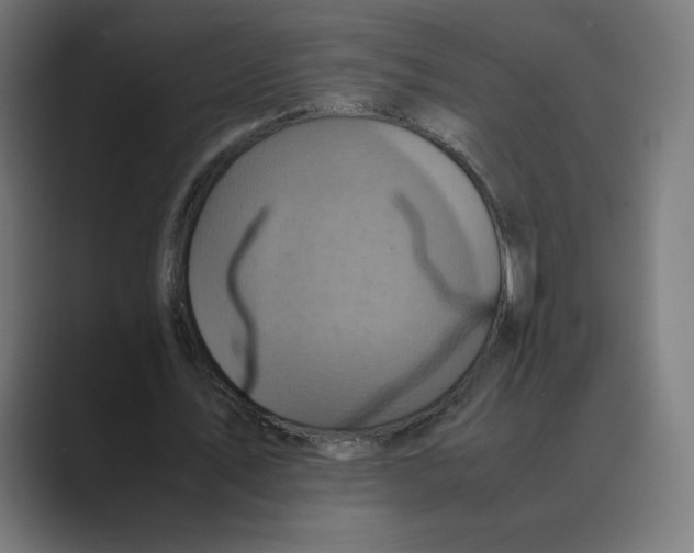 X0000088420579200706191217