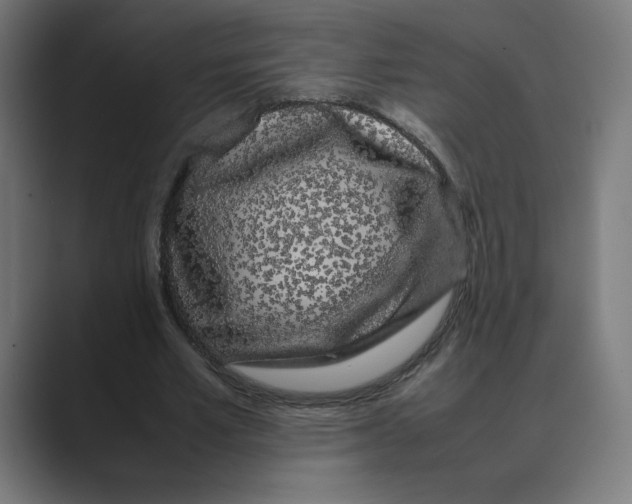 X0000088420581200706191217