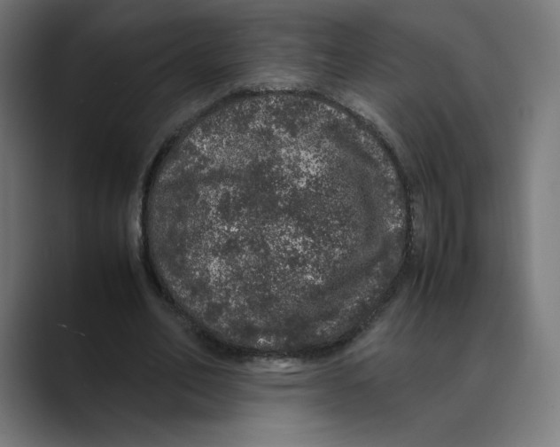 X0000088420582200706191217