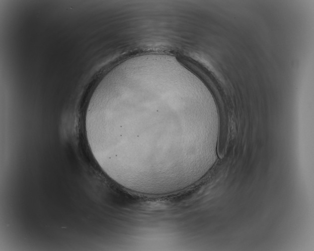 X0000088420583200706191217