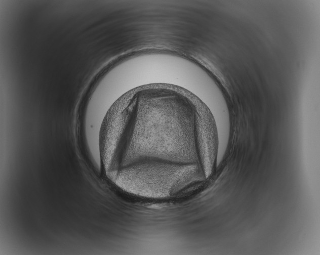 X0000088420584200706191217