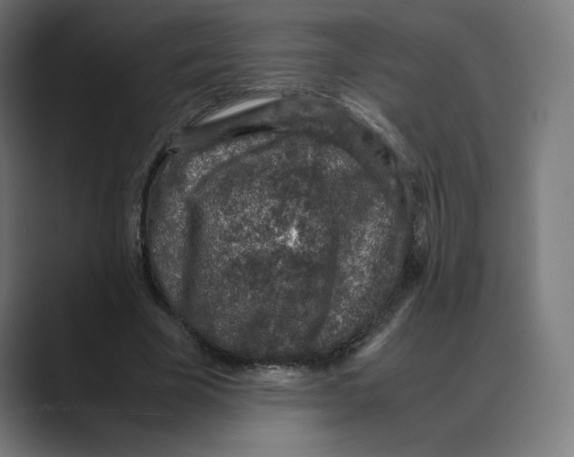 X0000088420585200706191217