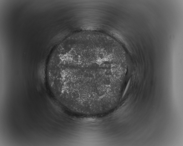 X0000088420586200706191217